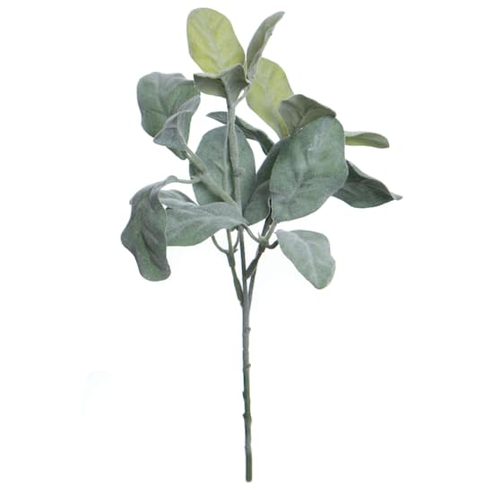 10" Green Lamb's Ear Pick by Ashland®